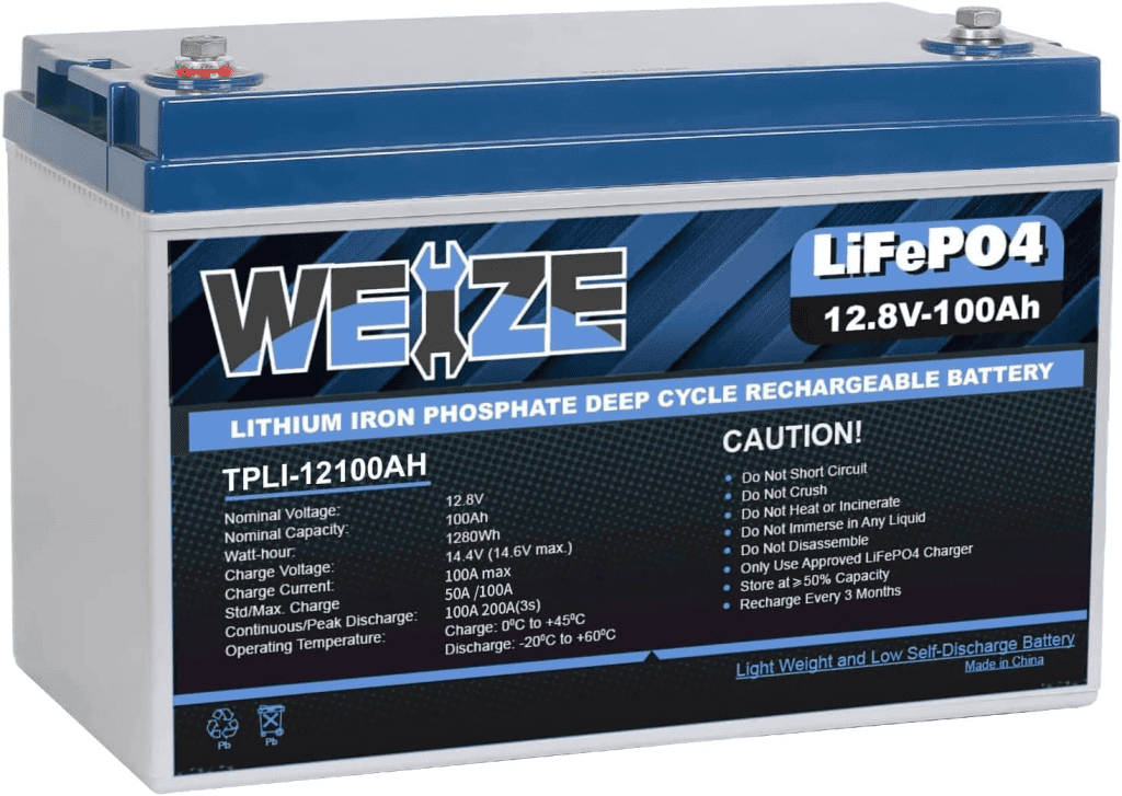 WEIZE 12V 100Ah LiFePO4 Lithium Battery for RV, Solar